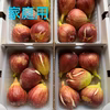 【9月発送分】いちじく（ドーフィン）【イチジク】【無花果】