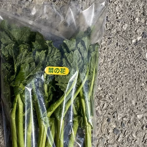 菜の花　オオゲツ姫(食の神様)の国からお届けします