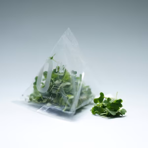 【レッドからし水菜】マイクログリーン(7ｇ)