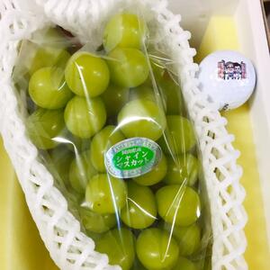 【ご進物用】プレミアムシャインマスカット※クール冷蔵便
