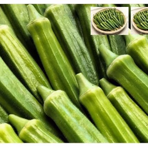トロッとプチプチ食感が美味しいオクラ＜約1,200g＞