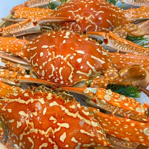 浜名湖産茹でワタリガニオス1杯約150g〜300g詰め合わせ1kg