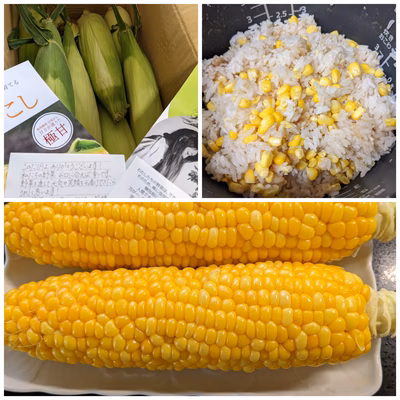 みんなの投稿の画像