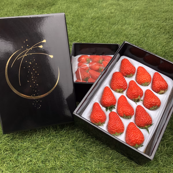 贈答用★厳選12粒　こづちセット