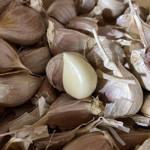 【大量消費に】訳ありバラにんにく【おすすめ！】