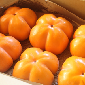希少！富山の四谷柿（よたんがき）ご家庭用1.8kg