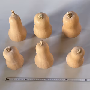 バターナッツ南瓜　4kg入り　80サイズで発送　4個〜7個