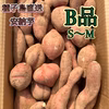 【絶品】種子島産 安納芋 B品（S〜Mサイズ）｜aimo農園
