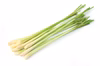 フレッシュ！沖縄県産 レモングラス・茎