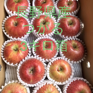 信州産サンつがる3キロ