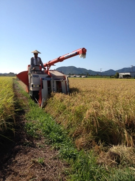 令和3年産にじのきらめき玄米、除草剤・肥料不使用のこだわりのお米