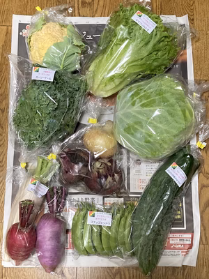 みんなの投稿の画像