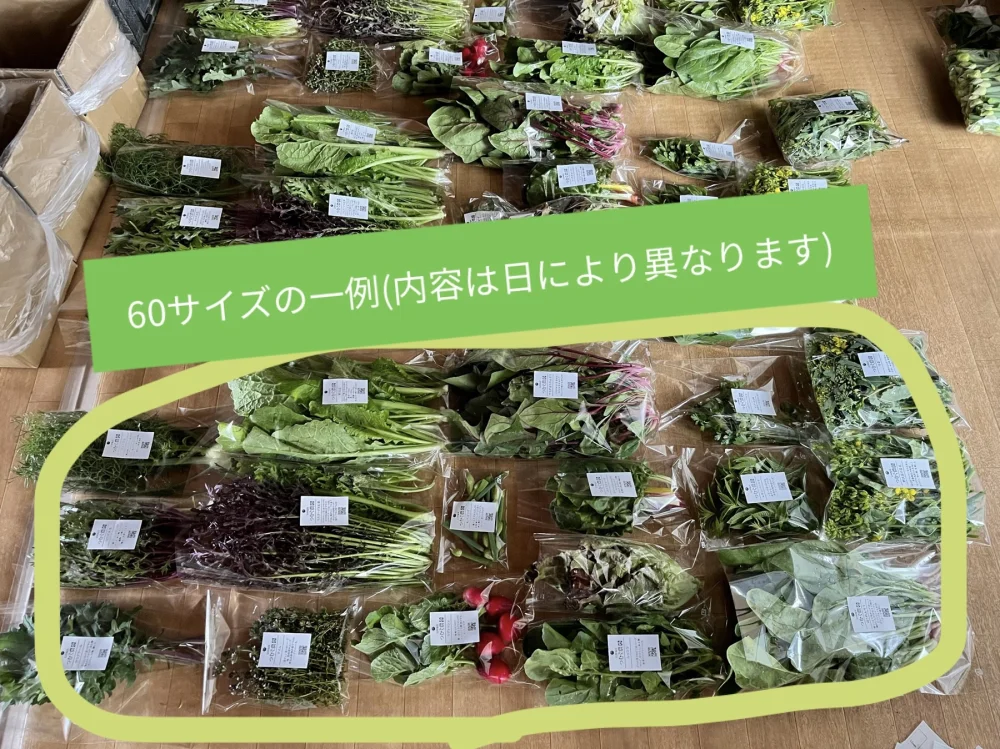 [ほぼサラダ]季節のおすすめ信州野菜つめあわせ