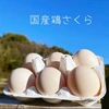 やっぱり国産鶏×36！【名古屋コーチン&もみじ&さくら】3種セット36個入り‼︎