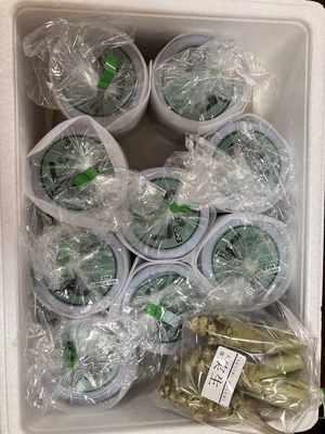 みんなの投稿の画像