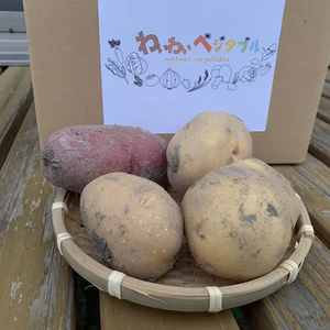 ほっくほく‼️淡路島で育った４種の新じゃが【完全無農薬栽培】