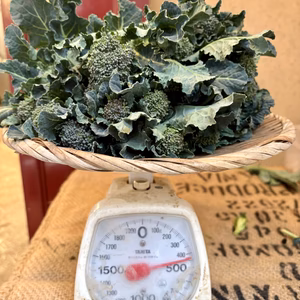 【訳ありです】アレッタと菜花のセット【収穫して1日経ってます】