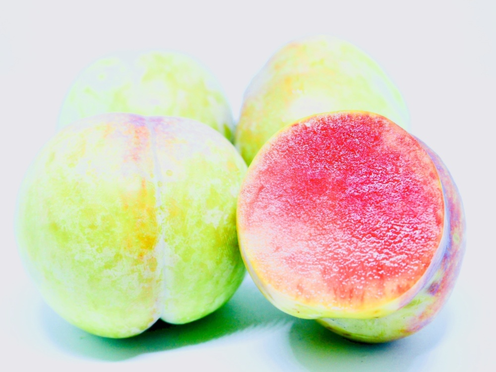 クール対応7月発送予約 濃厚甘酸っぱ食感 ソルダムスモモ 特別なプラム 農家漁師から産地直送の通販 ポケットマルシェ