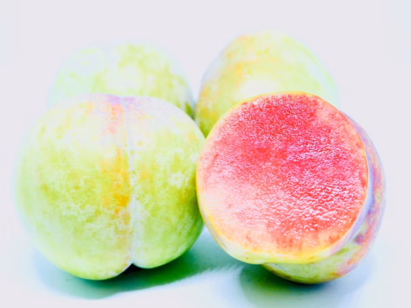 【濃厚甘酸っぱ食感】ソルダムスモモ【プラム】