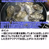 【ＳＯＳ】海からとったままの牡蠣★加熱用 宮城県産 殻付き 牡蠣 殻付き 牡蠣 