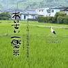 《栽培期間中農薬不使用米・白米》あいさい一楽米　令和6年産徳島県産コシヒカリ