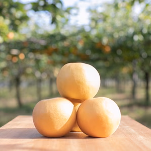 ウマすぎて狂喜乱舞！！【にっこり】まっちゃん梨　栃木県大田原市