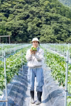 【１人１回だけの特別品】兵庫県香美町産「たじまのピーマン１ｋｇ」