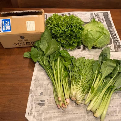 みんなの投稿の画像