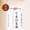 令和7年産【玄米】さめてもモチモチ『てまひま米』ミルキークイーン　1㎏～