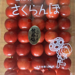 ☆特別価格☆山形県産　さくらんぼ　佐藤錦　贈答用500g