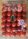 ☆特別価格☆山形県産　さくらんぼ　佐藤錦　贈答用500g