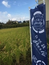 【夏の終わりの新酒 8月製造】にごり酒　【いぶき】自然栽培米使用　世界に一つの酒