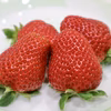 【濃厚苺 さちのか】1kg 山の斜面で十分な日光を浴びたビタミンCたっぷり苺！