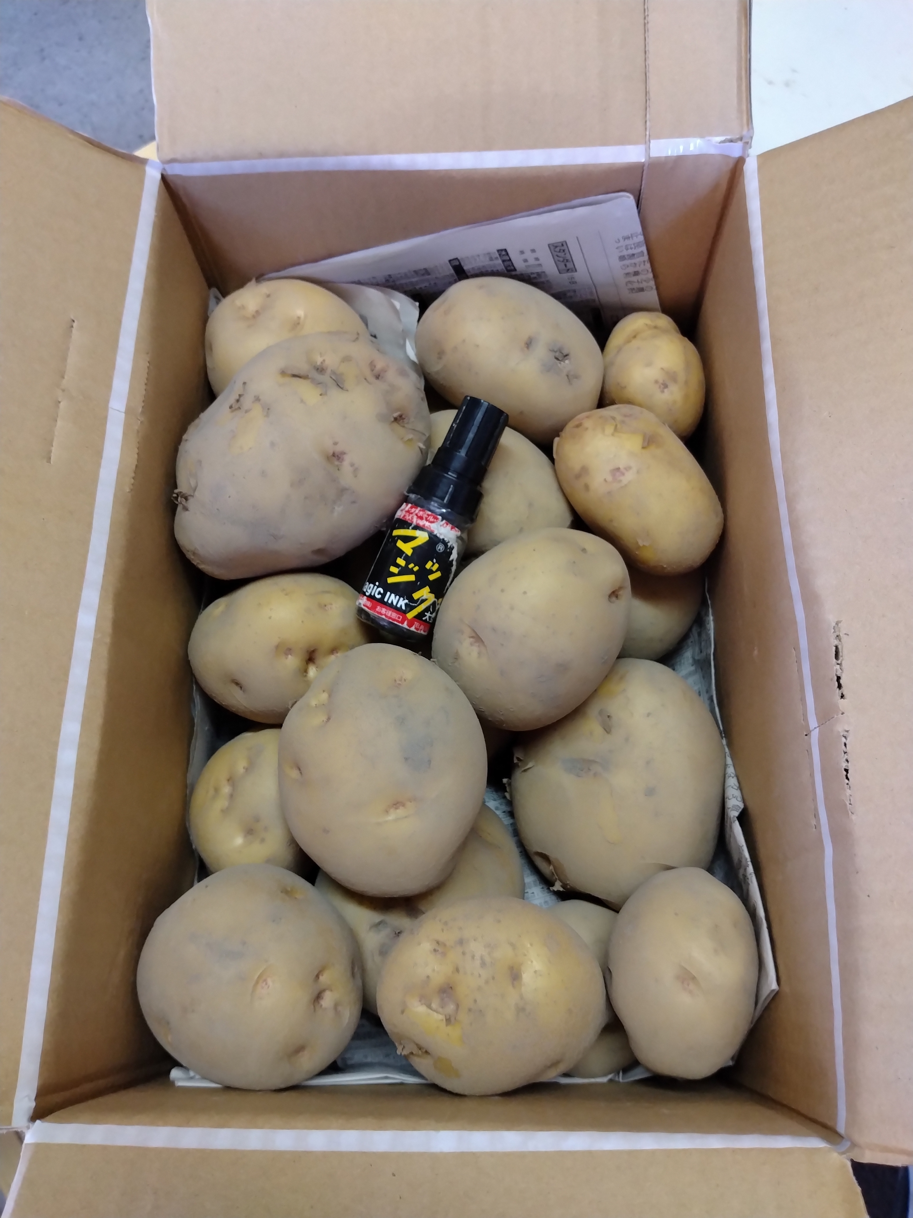 新ジャガイモ キタアカリ4kg 一箱4kg