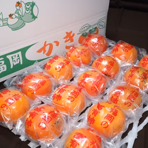 【ご家庭用（少々キズあり）】冷蔵柿（富有柿）15～16個入り　福岡県田主丸町産