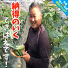 【残り43名】10％OFF(約2㎏)化学肥料なし！パリッ甘きゅうり「マジキュー」