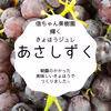 旬の美味しさを一年中ぶどうで作ったジュレタイプゼリー 