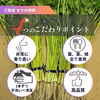 【三関産せり】せり 鍋 お歳暮 芹 鍋料理  きりたんぽ 秋田 セリ 天ぷら