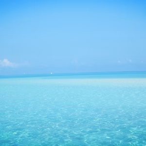 c_chan様専用です♥