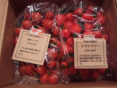 みんなの投稿の画像