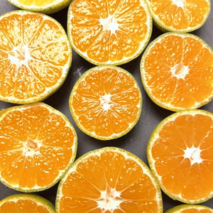 減農薬　有田みかん サイズＳからM混合