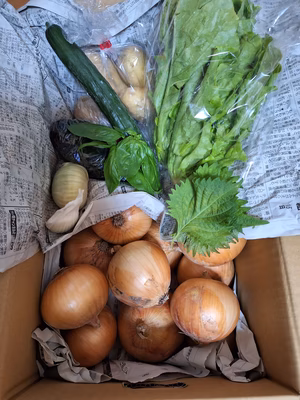 みんなの投稿の画像