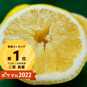 種がないレモン　超人気レモン　食べればわかるこの凄さ