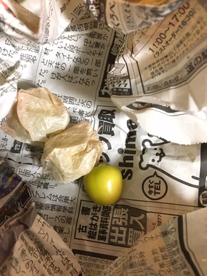 みんなの投稿の画像