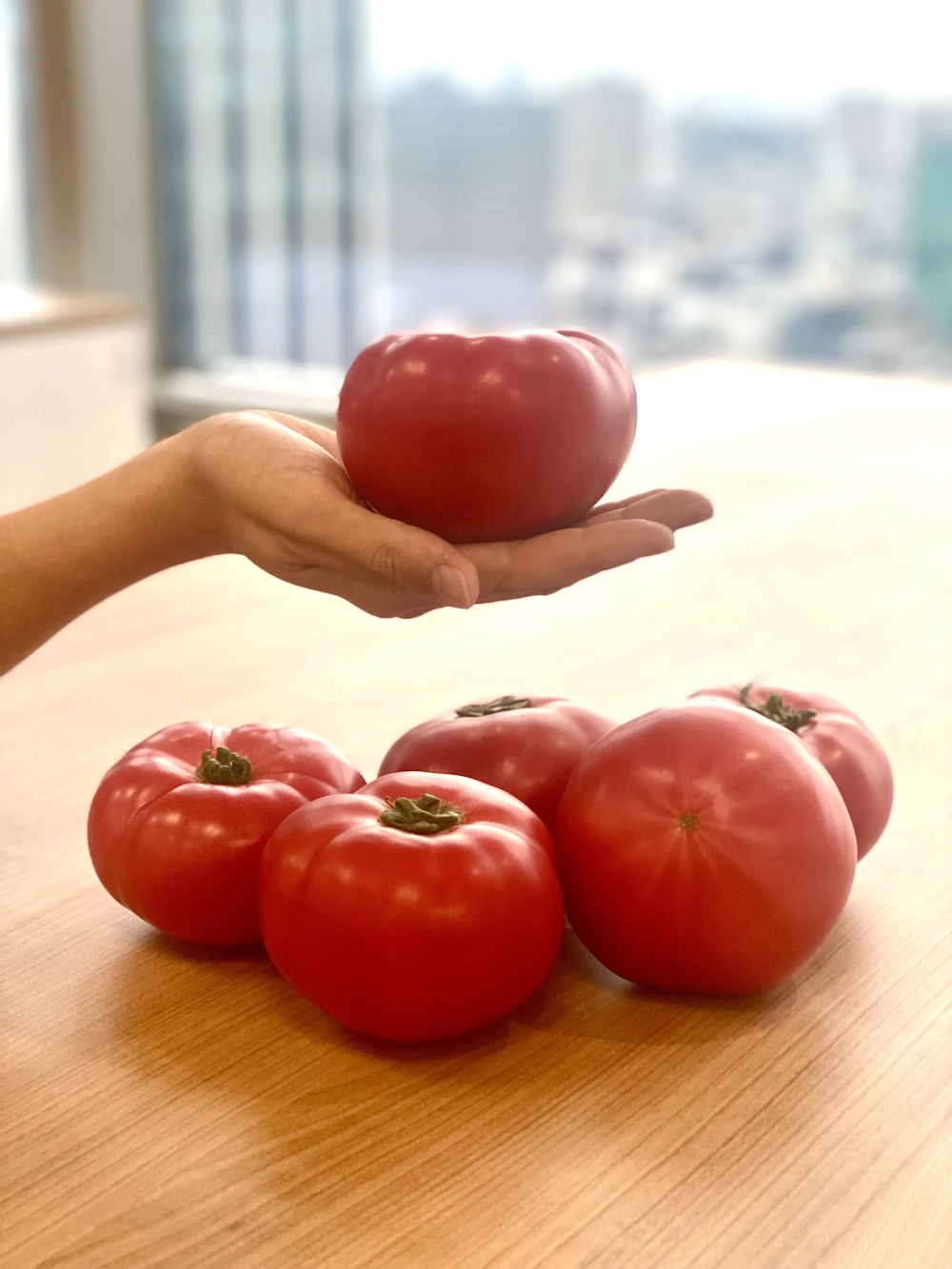 【歳末300円オフセール‼️】びっくりサイズ❗️朝採り完熟トマト