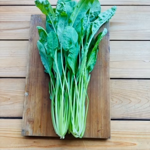 壬生菜　京都府産　京都伝統野菜