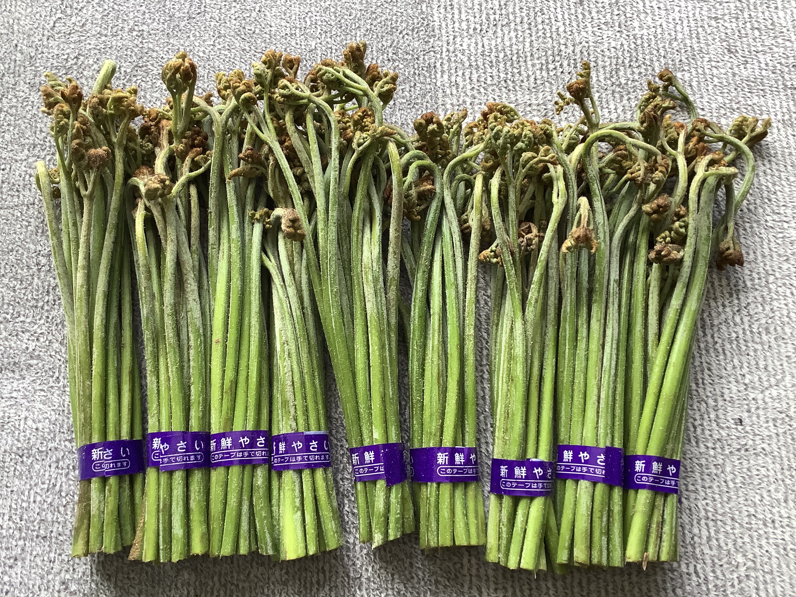 天然わらび　予約販売1kg〜　この商品は購入しないで下さい 楽天市場】山菜 の ワラビ 1kgの通販