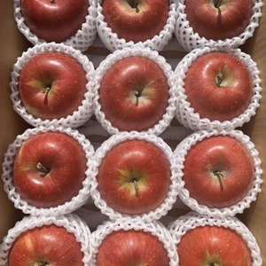 シャキッ！甘～い！小玉 食べきりサイズ！シナノスイート 約3kg～ 信州りんご 