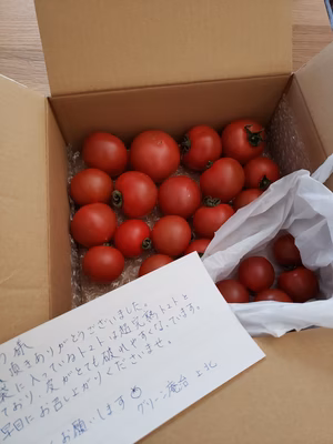 みんなの投稿の画像