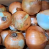 【訳あり】淡路島玉ねぎ10kg【野菜ソムリエサミット金賞】